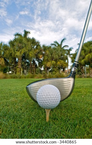 driver and golf ball on tee with palms and sky as background