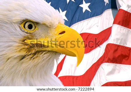 american flag eagle clip art. american flag eagle clip art.