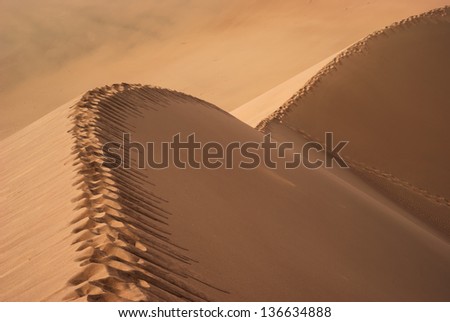 National park Altyn Emel. Kazakhstan. Footpath on the top of a sand dune