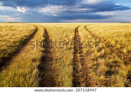 Two diverging rural road in the steppes of Kazakhstan