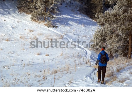 Man snowshoer climbing hill