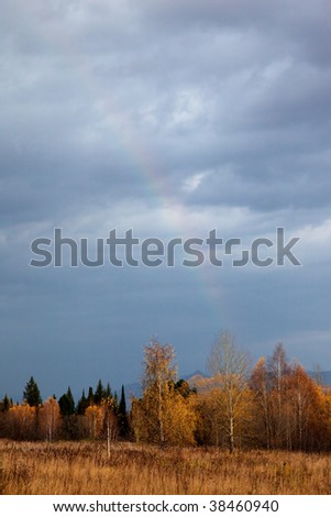 Autumn forest and a rainbow after the rain
