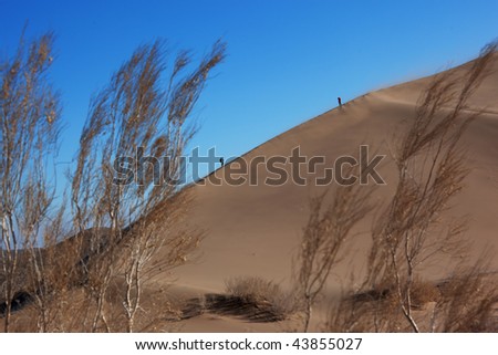 Two silhouette on dune in sand storm