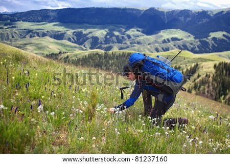 Hiker stopping to smell the wildflowers.