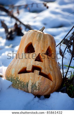 Halloween pumpkin on the snow