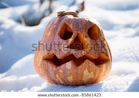 Halloween pumpkin on the snow