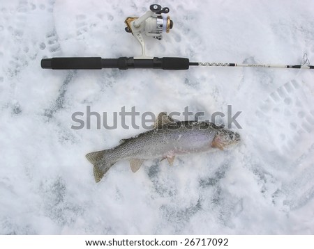 Ice fishing rod and cut-throat trout laying on ice