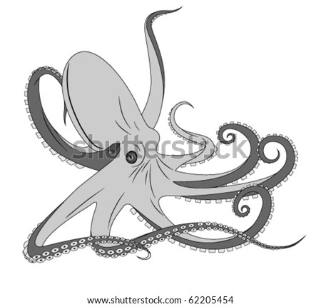 stock vector Octopus tattoo Save to a lightbox Please Login