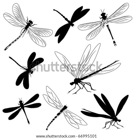 stock vector Set of silhouettes of dragonflies tattoo