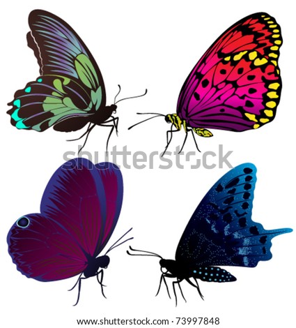 stock vector Set of color butterflies of tattoos Save to a lightbox 