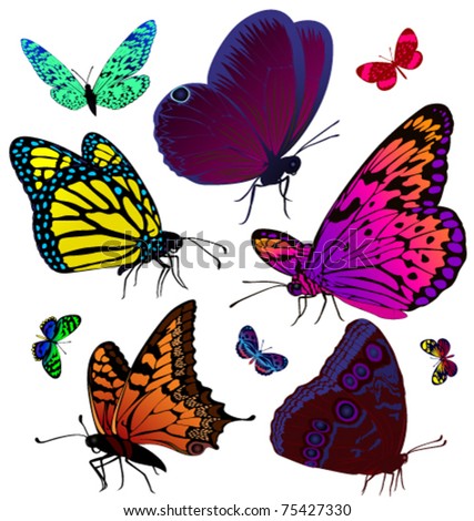 stock vector Set of color butterflies of tattoos