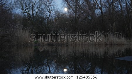 moon comes up at dawn above a park at a german city