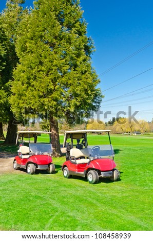 nice golf carts