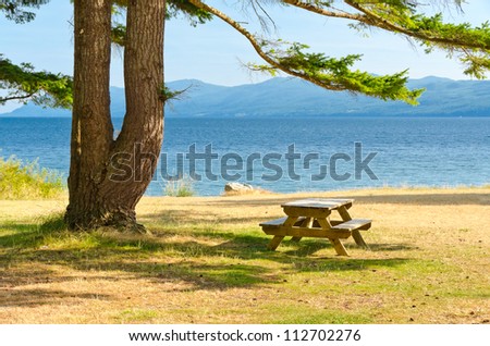 Picnic table in shade of double tree at the Palm Beach, Vancouver, Canada