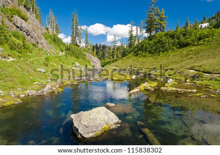 Beautiful mountain river at trail in Mount Baker Visitor Center, WA, USA.