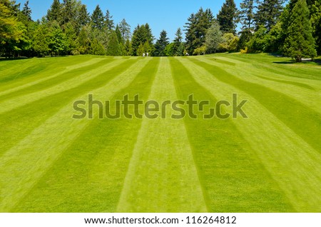 Golf course with gorgeous green