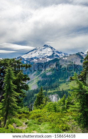 Beautiful Mountain Artist Ridge Trail Park. Mount Baker, Washington, USA.
