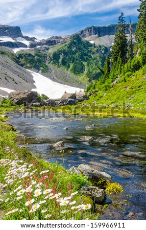 Beautiful Mountain River at the Bagley Lakes Trail at Mount Baker Park in Washington, USA