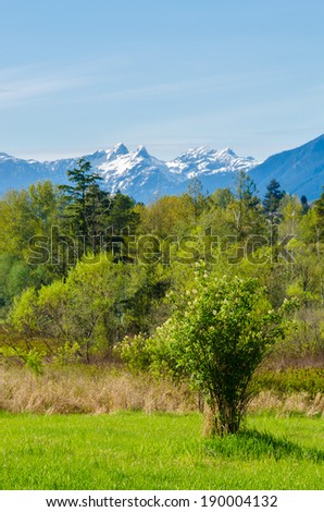 Trail through lush green forest with snow mountain at background in Deer Lake Park, Vancouver, Canada.