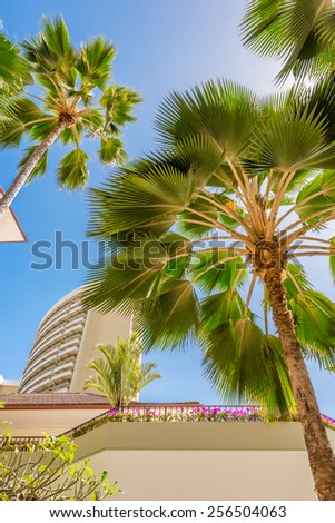 Palm tree tops against apartment or hotel building and blue sky. Vacation tropical background.