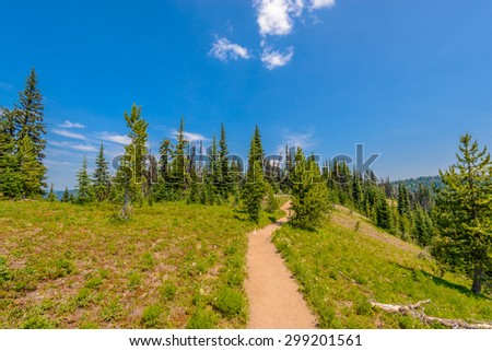Beautiful Mountain Trail. Blackwall Peak Trail at Manning Park in British Columbia. Canada.