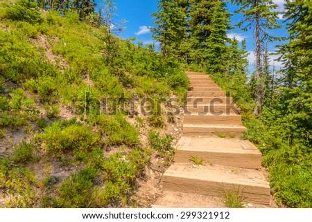 Beautiful Mountain Trail. Staircase. Blackwall Peak Trail at Manning Park in British Columbia. Canada.