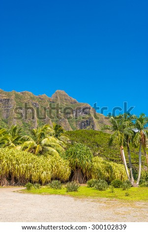 Tropical Mountains in Hawaii, USA. Tropical adventure vacation background.