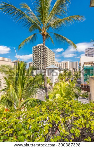 Palm trees and building tops in Honolulu, Hawaii, USA. Tropical city vacation background.