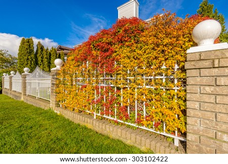White iron fence with colorful bush and green lawn and houses.