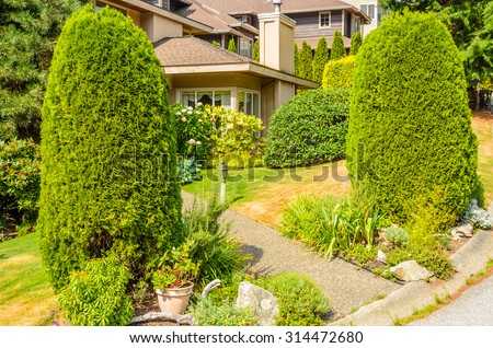 Trees in front of the house, front yard. Landscape design.