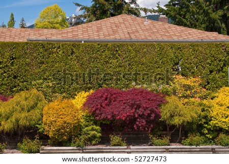 Colorful green hedge screening a house