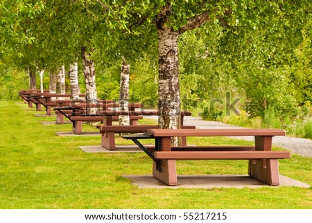 Beautiful Picnic Area At Porteau Cove Park, Vancouver, Canada. Stock