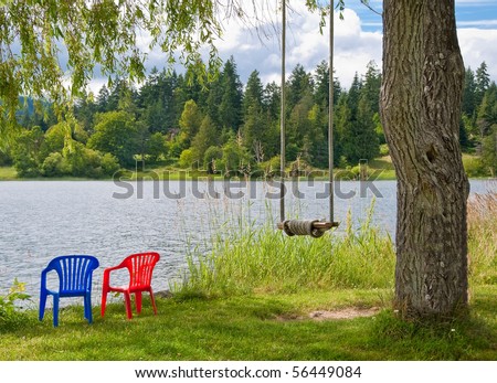 A tree with swing on background lake and forest.