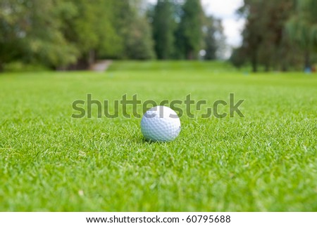 Golf ball on green over a blurred green. Shallow depth of field. Focus on the ball.