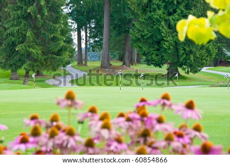 Pitching area over a nice green and curved path. Shallow depth of field. Focus on the center flag.