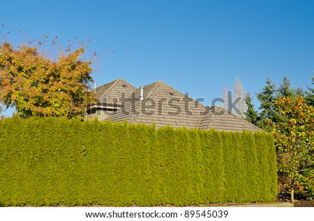 Privacy and Security Concept. House hidden behind the green hedge.