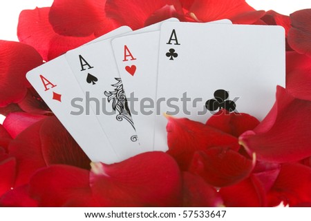 Studio shot of four ace cards on red rose petals photographed over white background.