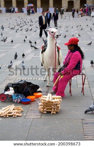 BOGOTA, COLOMBIA - MAY 06, 2014: An unidentified woman offering llama rides for a fee on in Bolivar Plaza in Bogota Colombia
