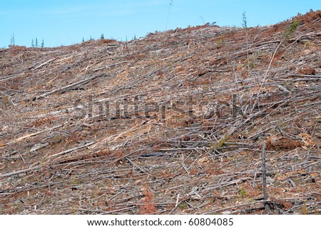 A clear cut forest on a mountain side with only debris left behind