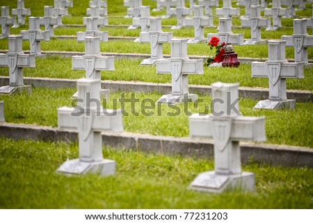 Row Of Crosses