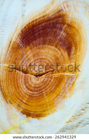 background from natural fibers natural wood