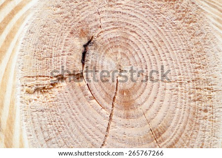 background from natural fibers natural wood