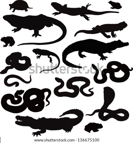 Collection From 16 Black Vector Icons Of Reptiles On A White Background