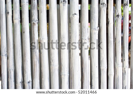 White bamboo fence: tropical fence.