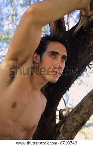 Fit male model climbs tree