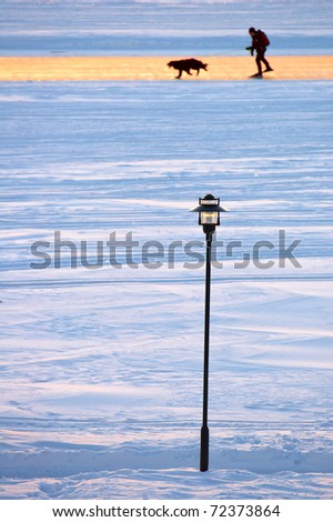 street lamp in front of skater and dog on ice road on the lake