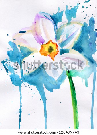 Narcissus flower. Watercolor illustration