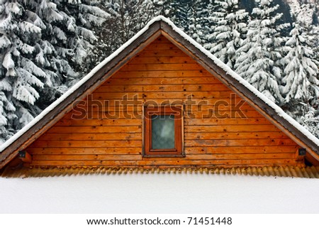Snow covered roof with trees in the foreground