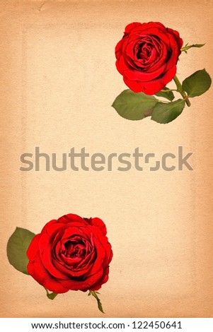 vintage grunge background with floral pattern red Rose .Space for text or image.
