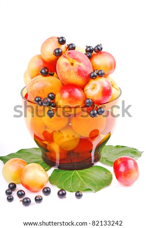 Cassis Fruit